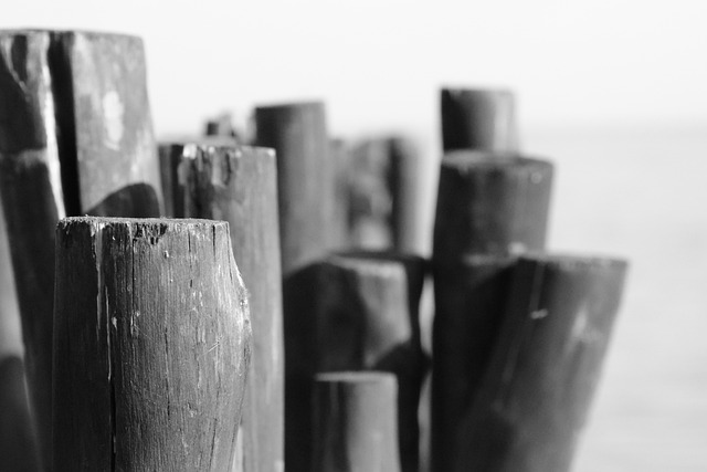 Capital Markets and IPO Compliance